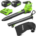 Greenworks Aspirateur Souffleur Sans Fil 48V avec Bandoulière et Moteur Brushless